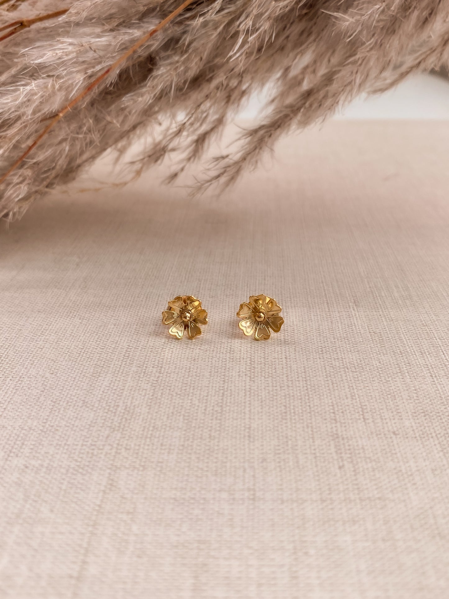Maxi aretes