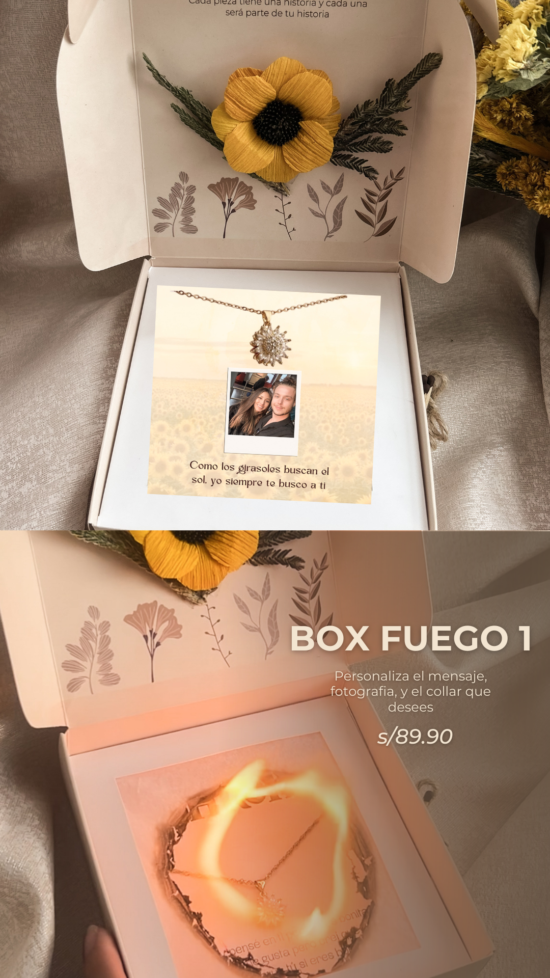 BOX 1 GIRASOL GIRATORIO