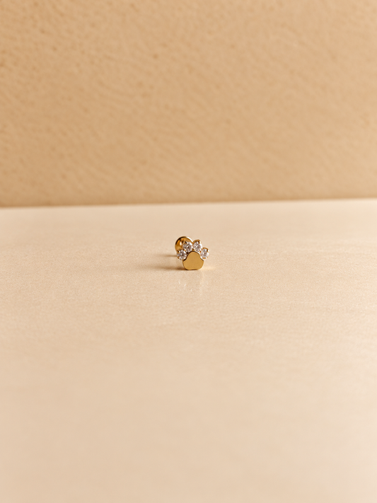 piercing titanio