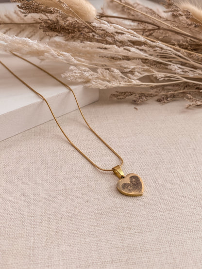 Collar Fotograbado + ENVÍO GRATIS