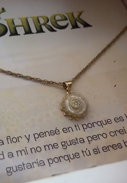 BOX 1 GIRASOL GIRATORIO